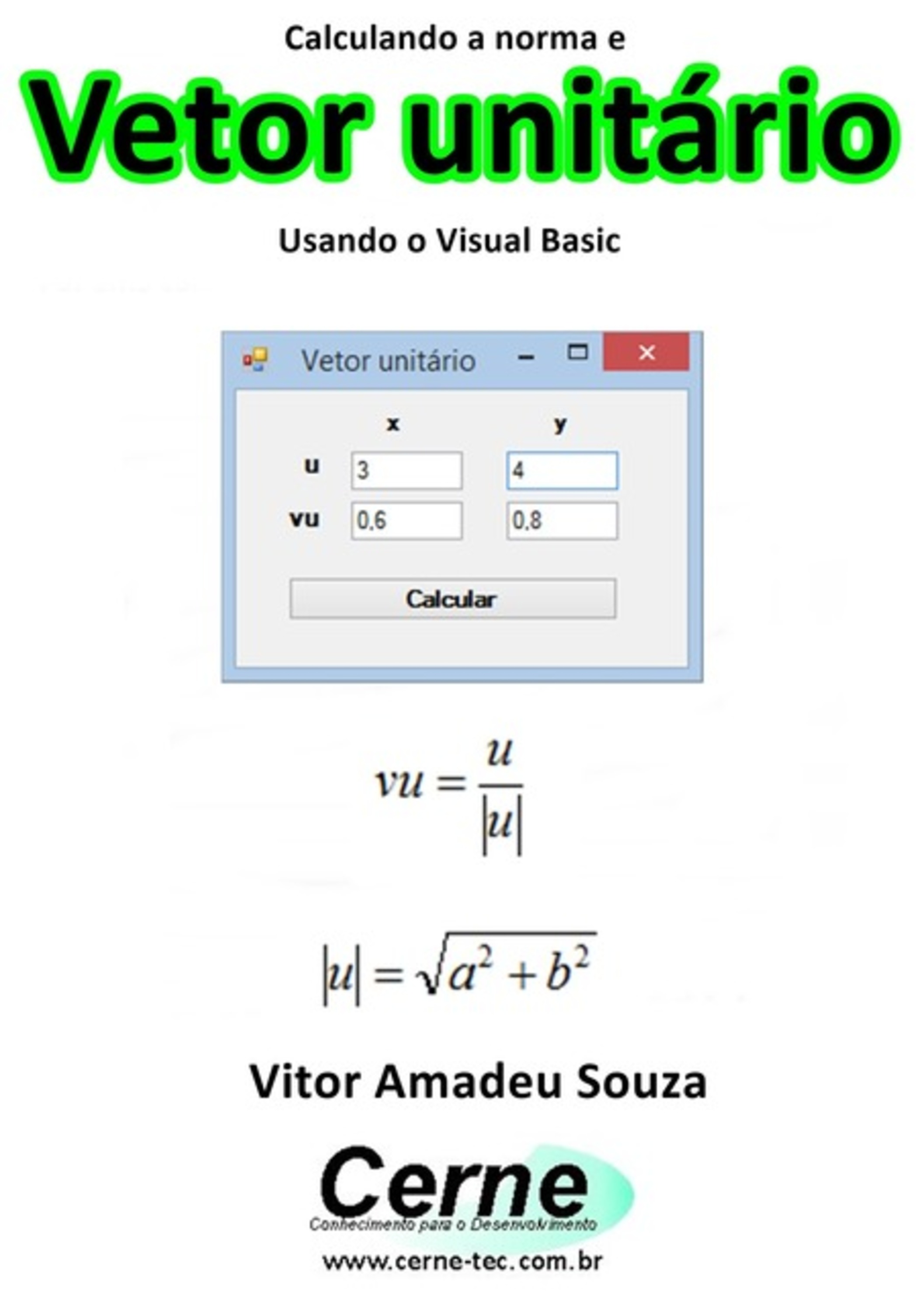 Calculando A Norma E Vetor Unitário Usando O Visual Basic