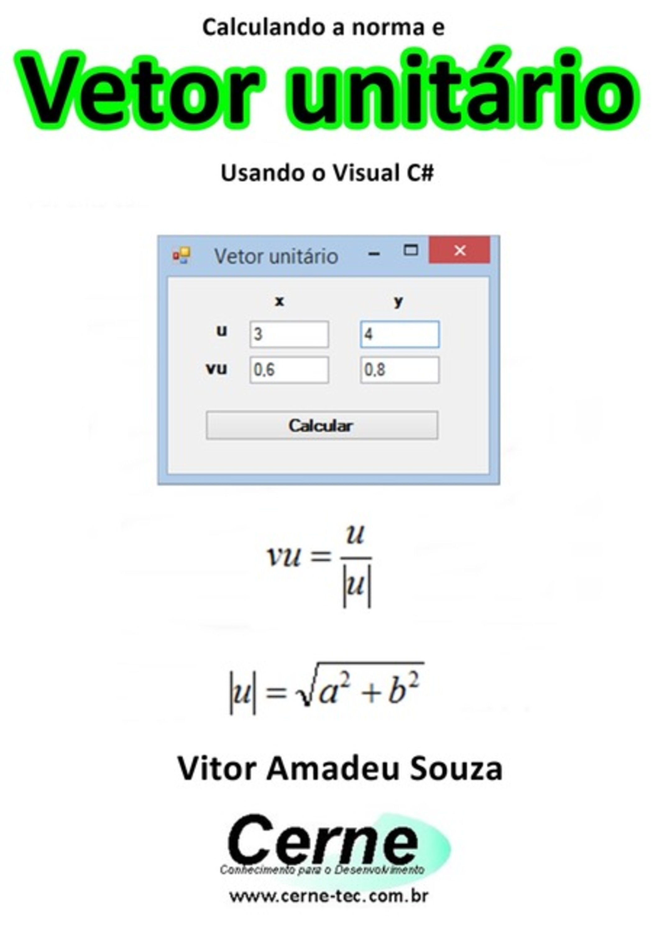 Calculando A Norma E Vetor Unitário Usando O Visual C#