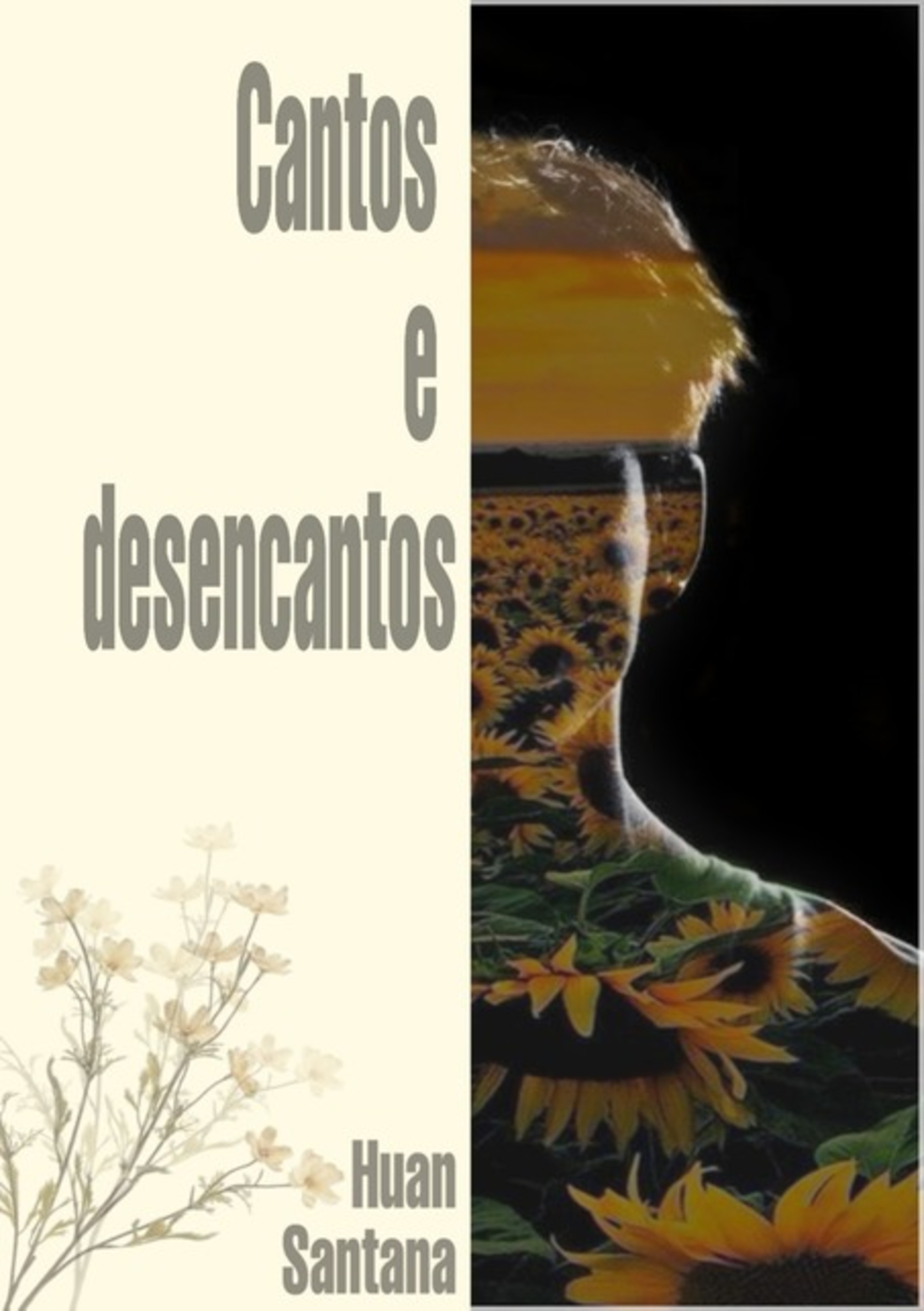 Cantos E Desencantos