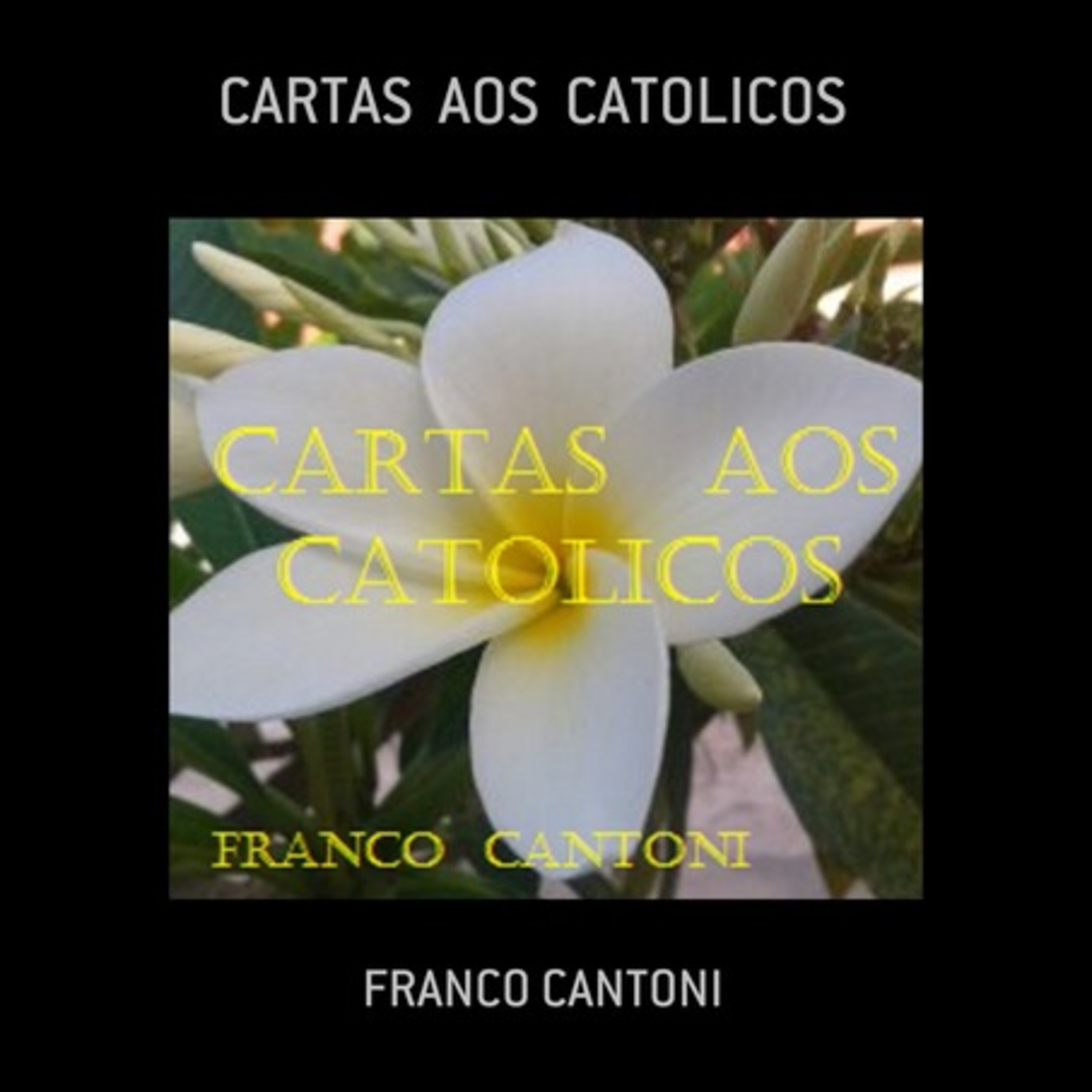 Cartas Aos Catolicos