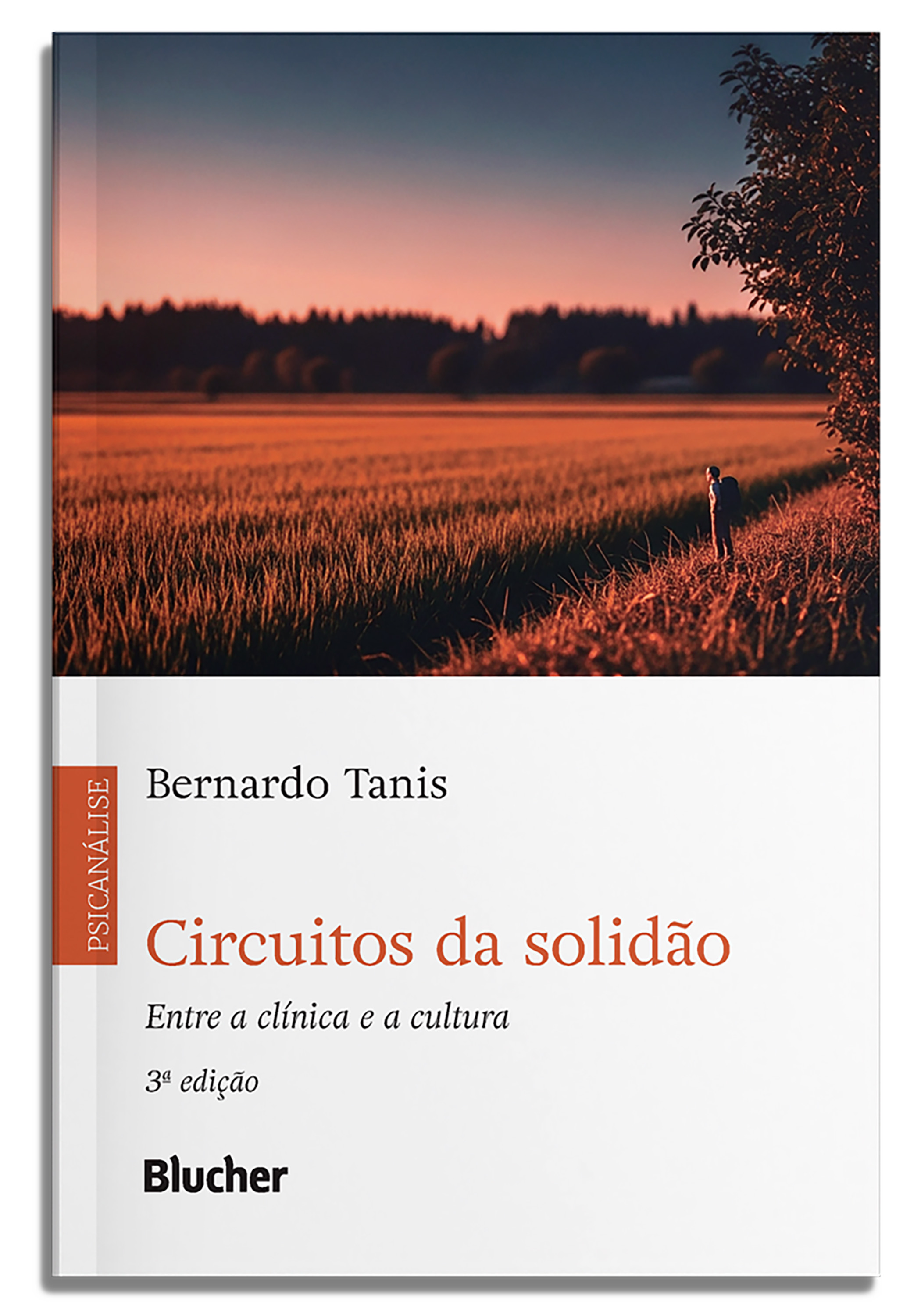 Circuitos da solidão