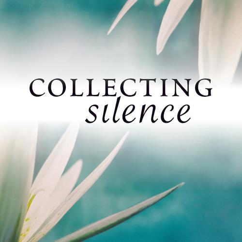 Collecting Silence