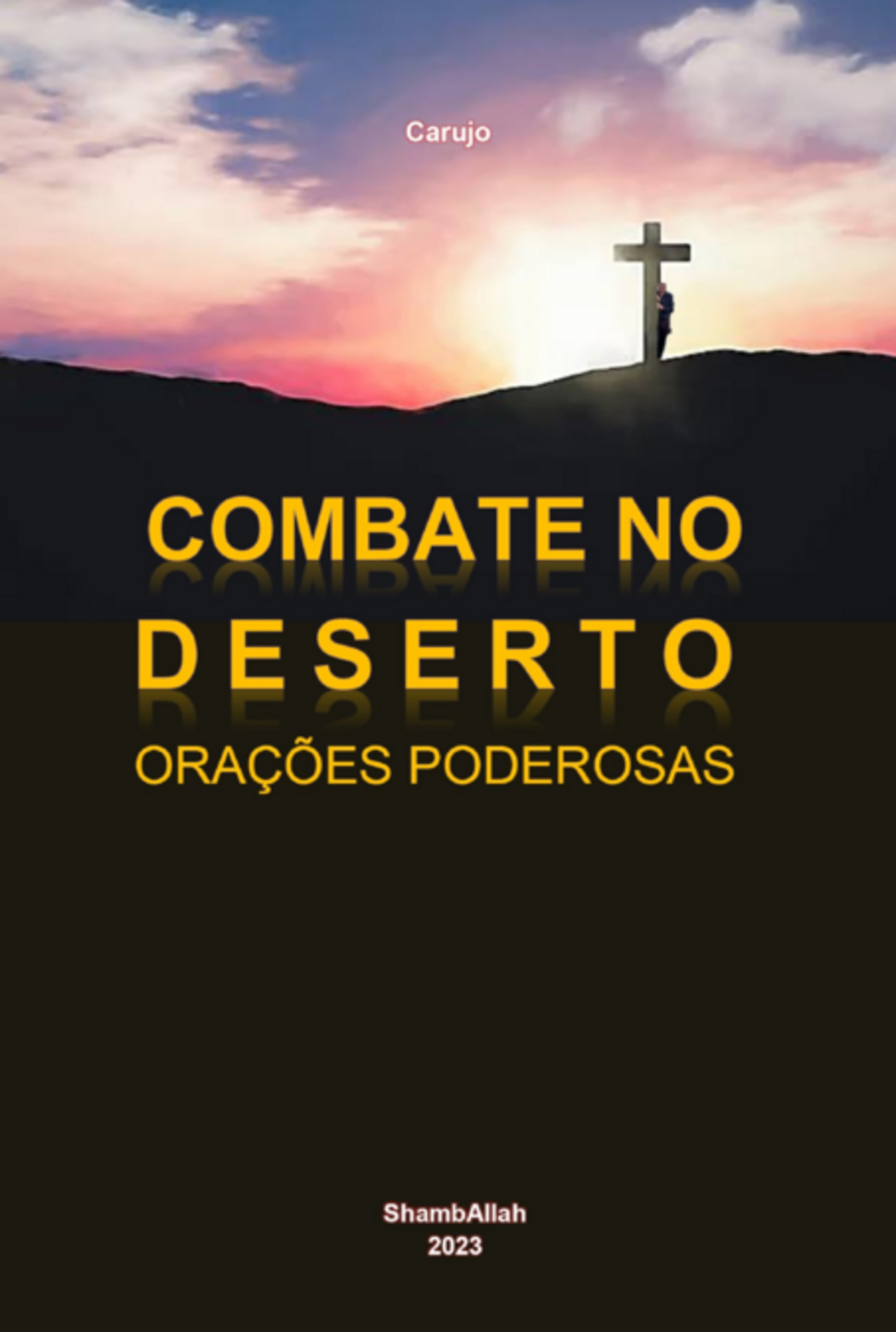 Combate No Deserto