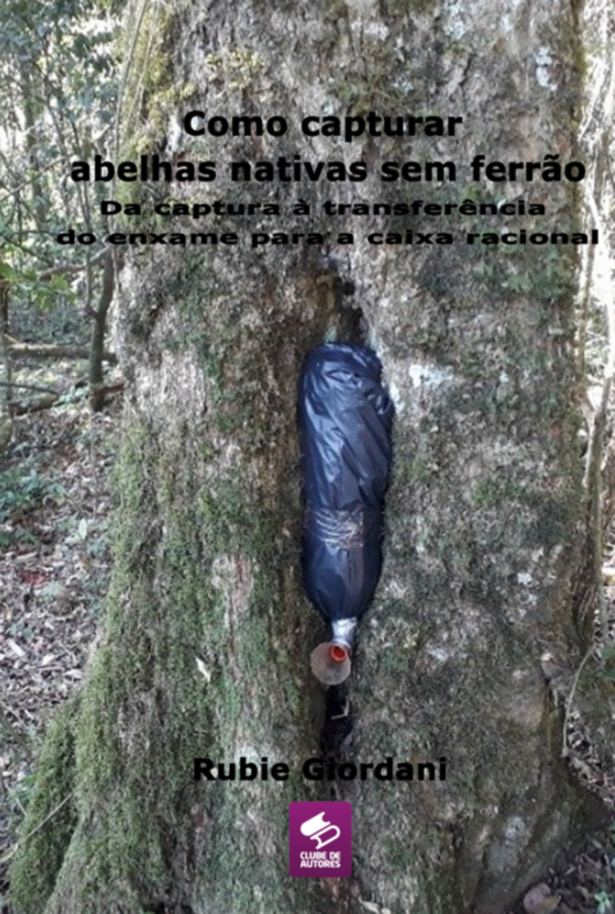 Como Capturar Abelhas Nativas Sem Ferrão