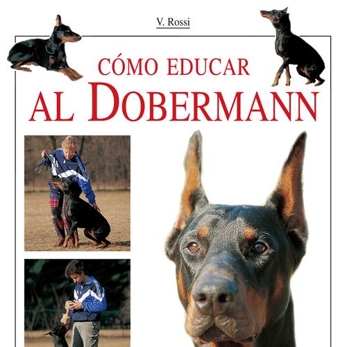 Cómo educar al Dobermann