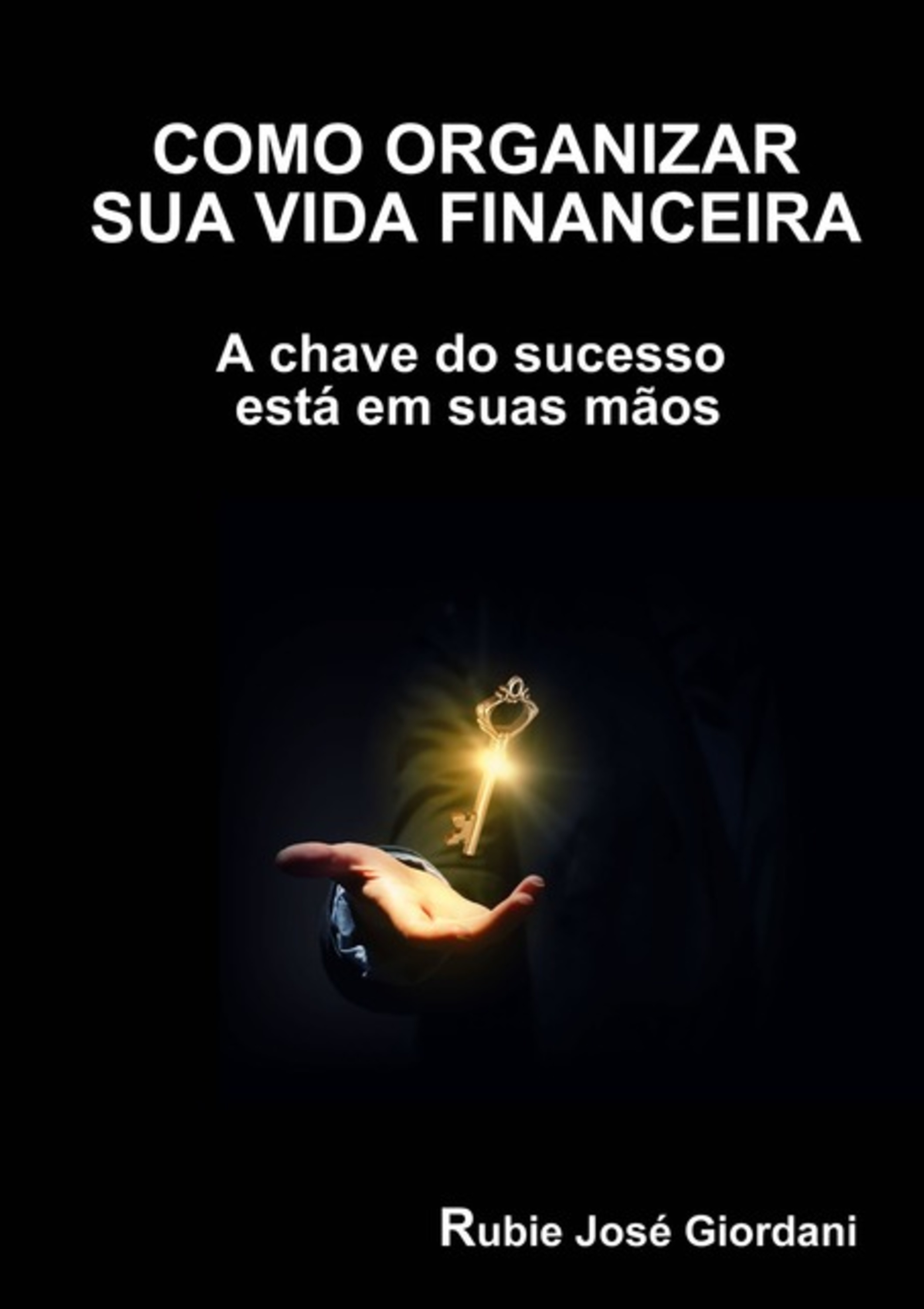 Como Organizar Sua Vida Financeira