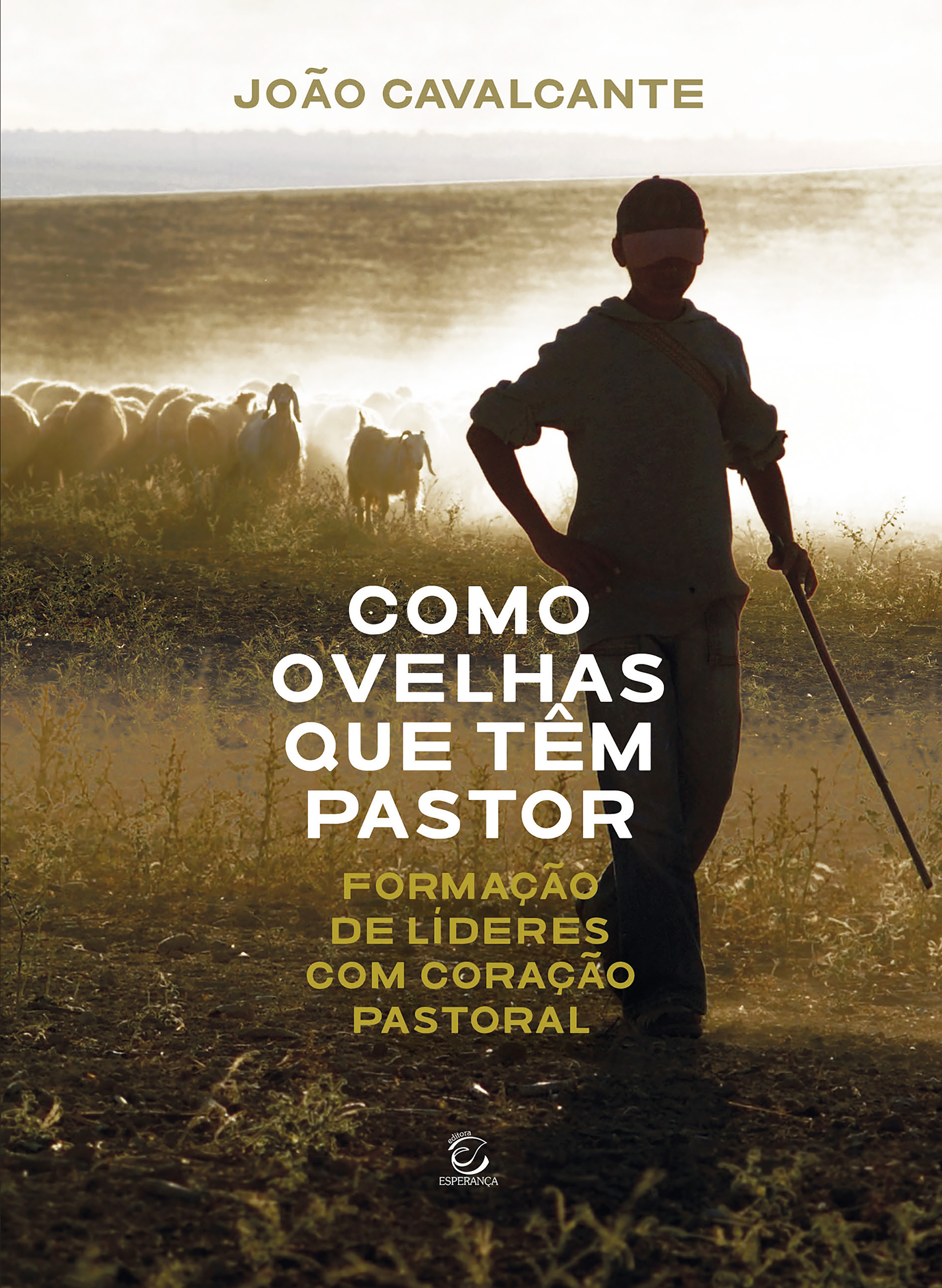 Como ovelhas que têm pastor