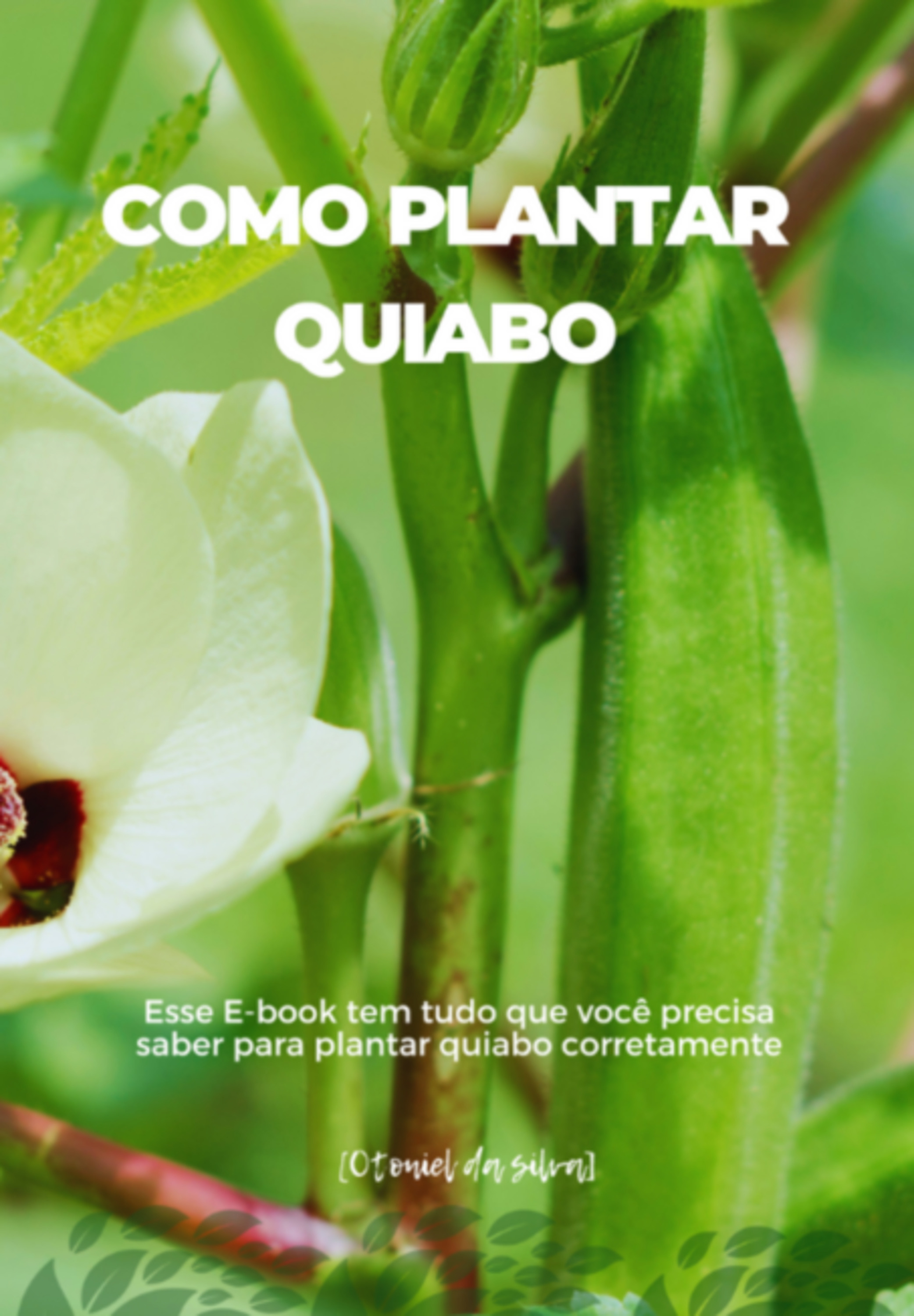 Como Plantar Quiabo