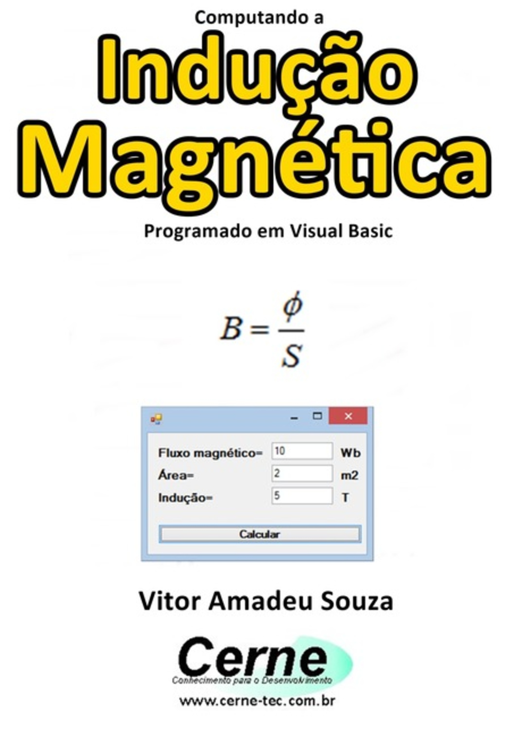 Computando A Indução Magnética Programado Em Visual Basic