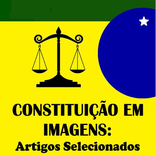 Constituição Em Imagens: artigos selecionados. Volume 1