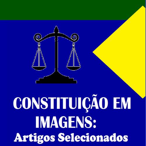 Constituição Em Imagens: artigos selecionados. Volume 2