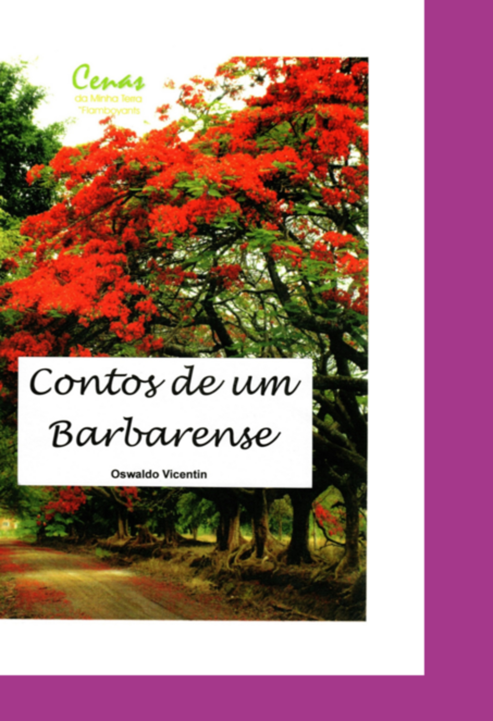 Contos De Um Barbarence