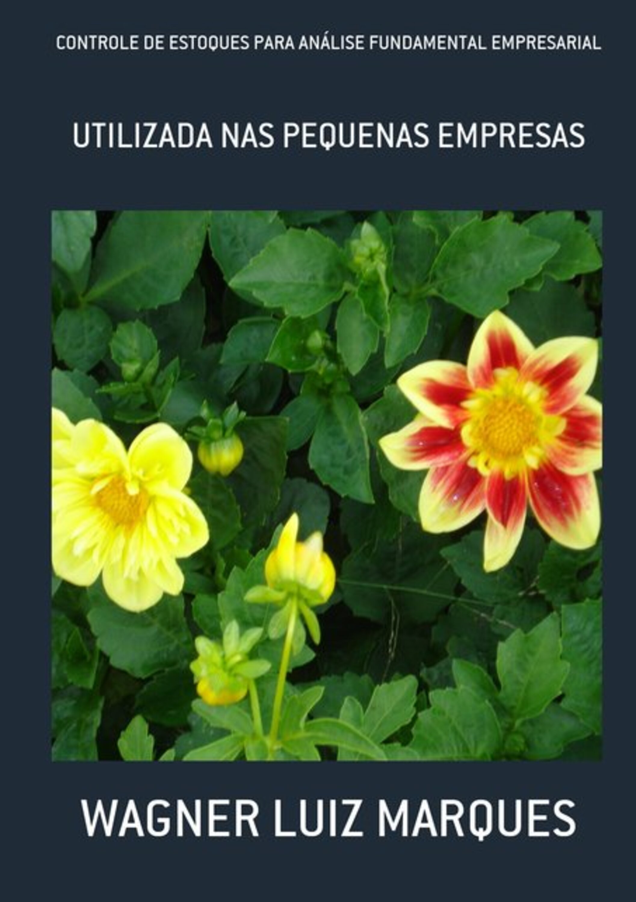 Controle De Estoques Para Análise Fundamental Empresarial