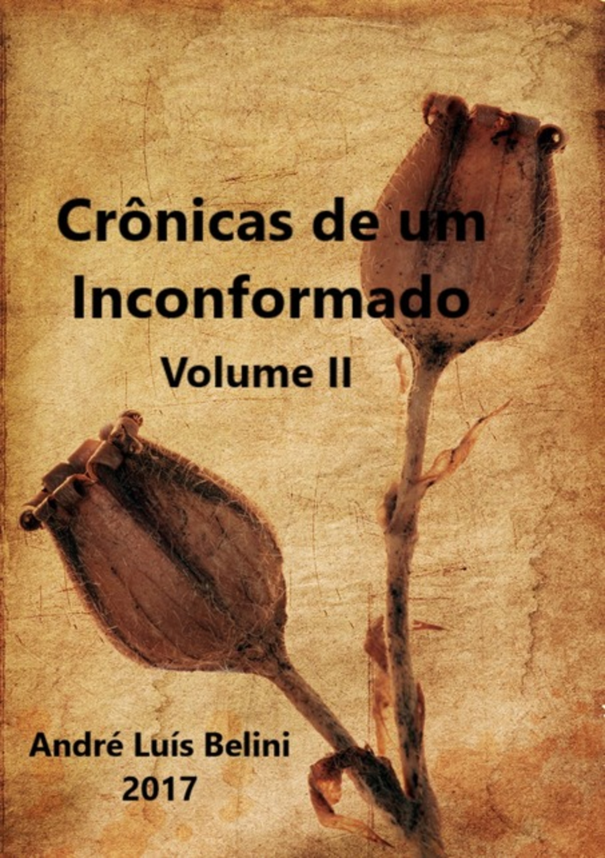 Crônicas De Um Inconformado - Ii