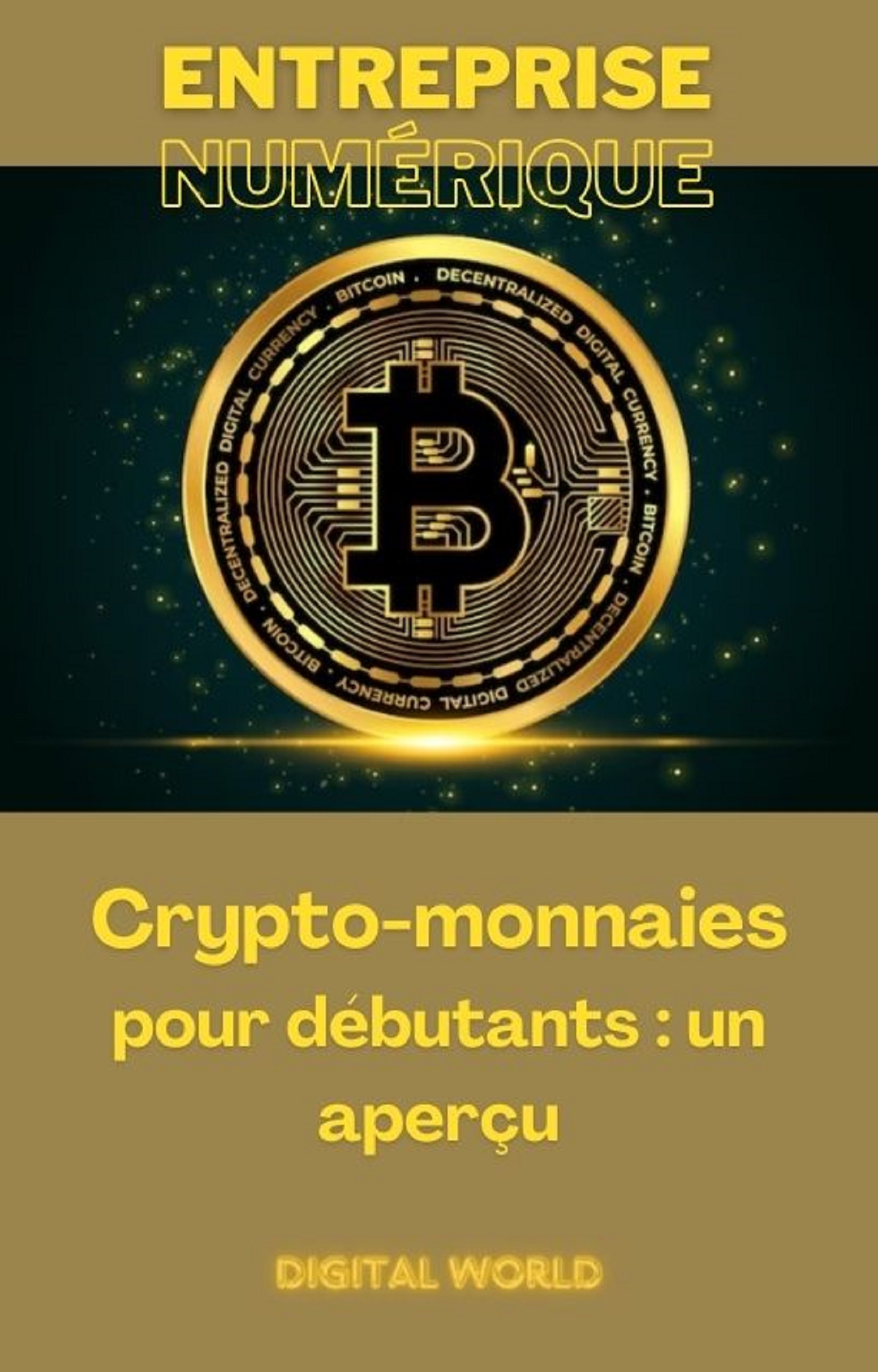 Crypto-monnaies pour débutants - un aperçu