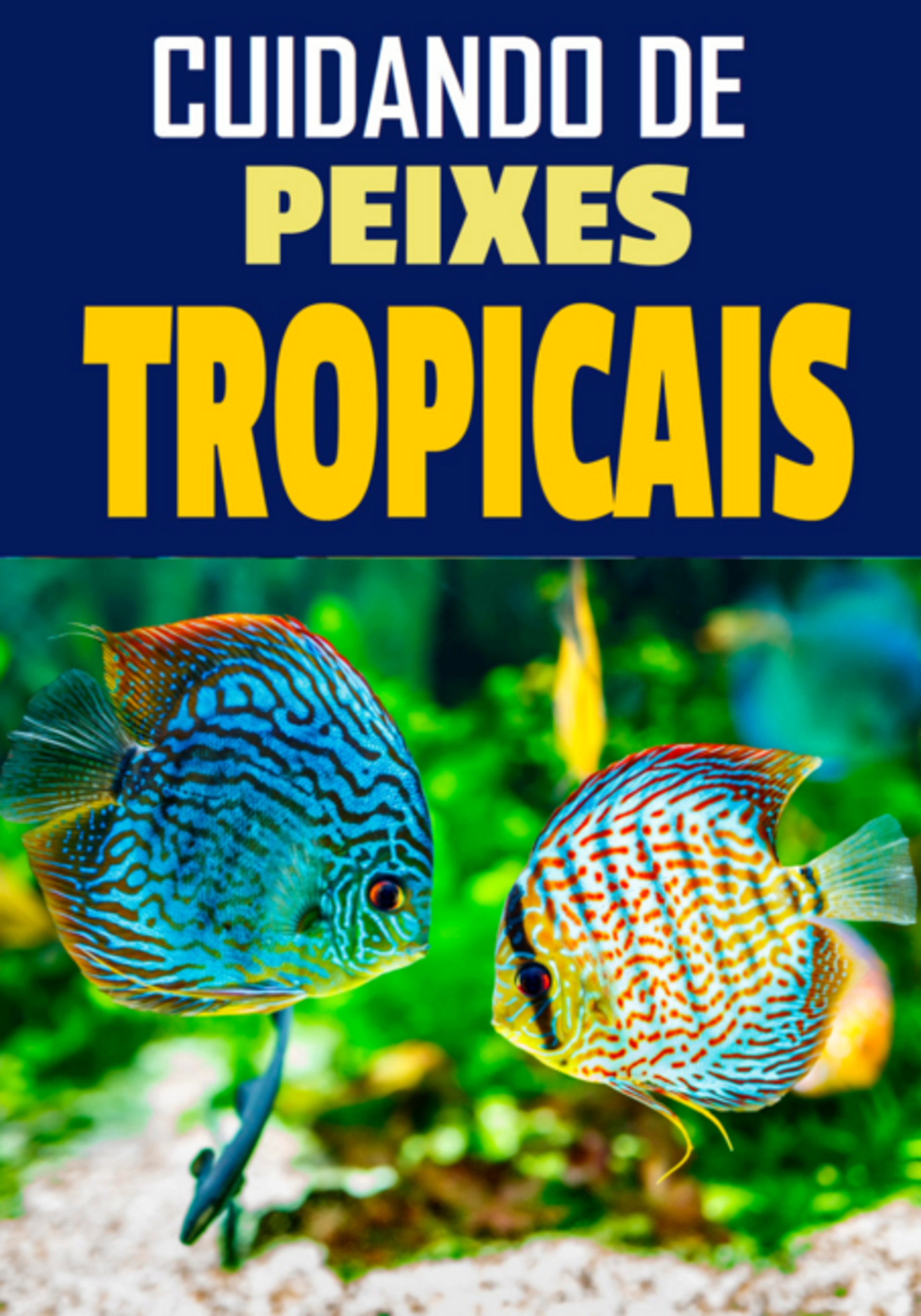 Cuidando De Peixes Tropicais