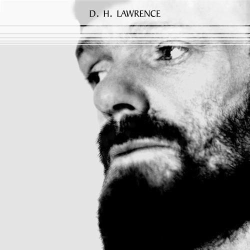 D. H. Lawrence: The Complete Novels (Women in Love, Sons and Lovers, Lady Chatterley's Lover, The Rainbow...)