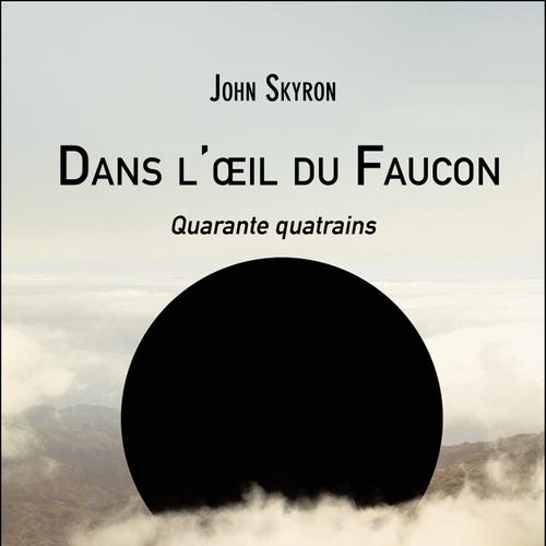 Dans l'œil du Faucon