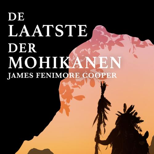 De laatste der Mohikanen