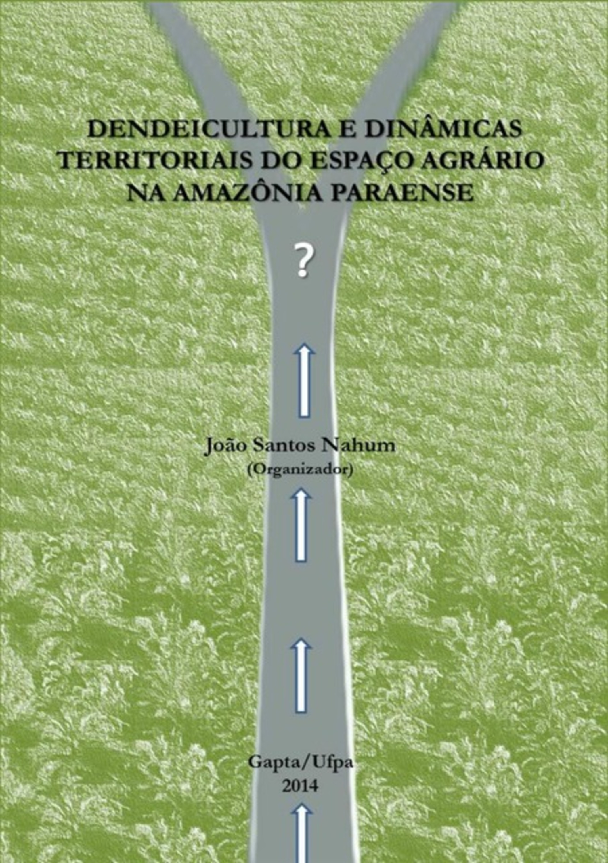 Dendeicultura E Dinâmicas Territoriais Do Espaço Agrário Na Amazônia Paraense