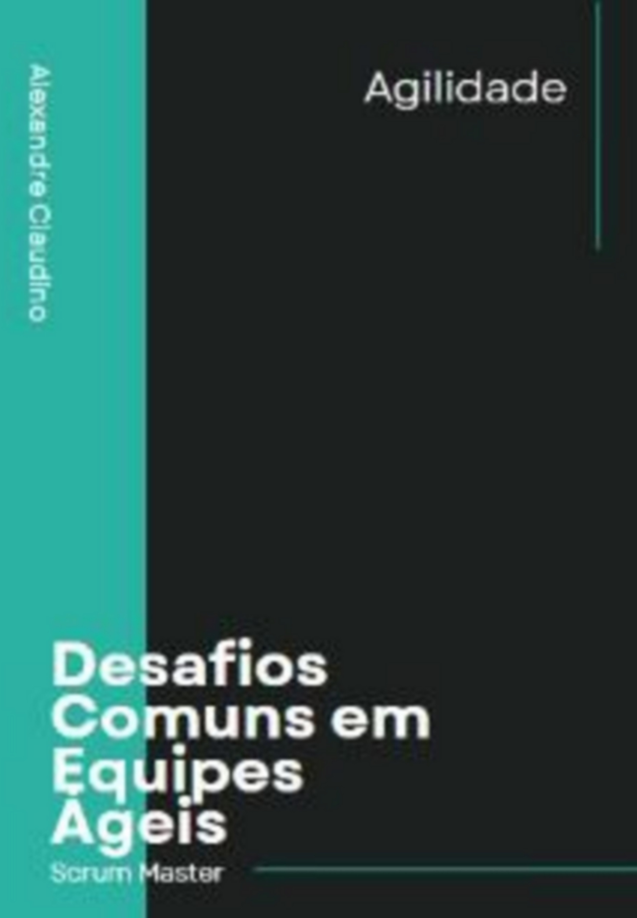 Desafios Comuns Em Equipes Ageis