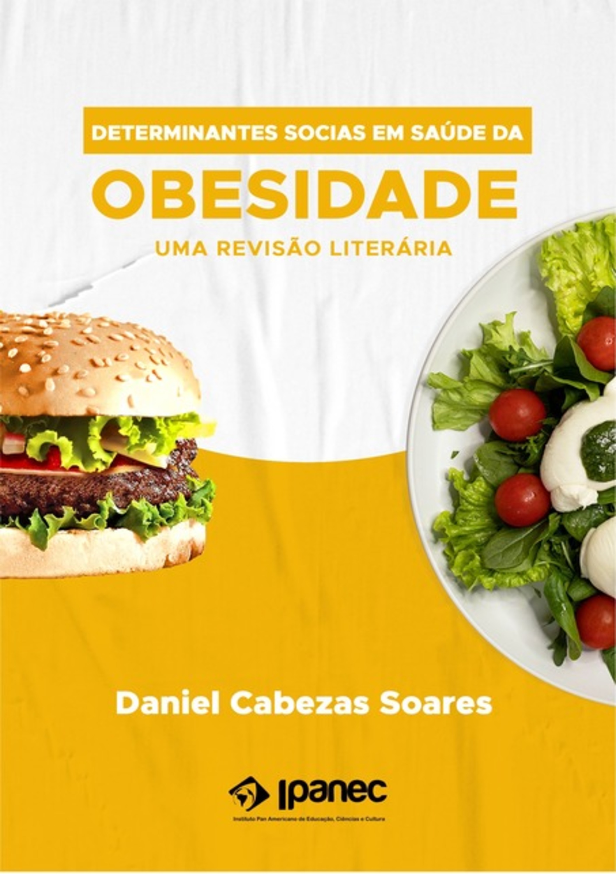 Determinantes Sociais Em Saúde Da Obesidade: Uma Revisão Da Literatura