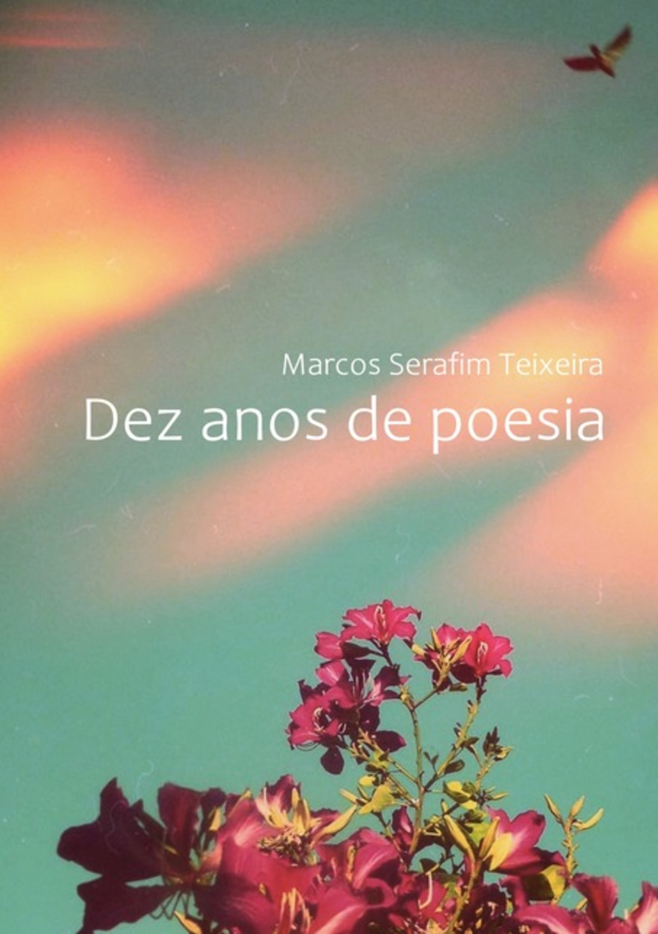 Dez Anos De Poesia