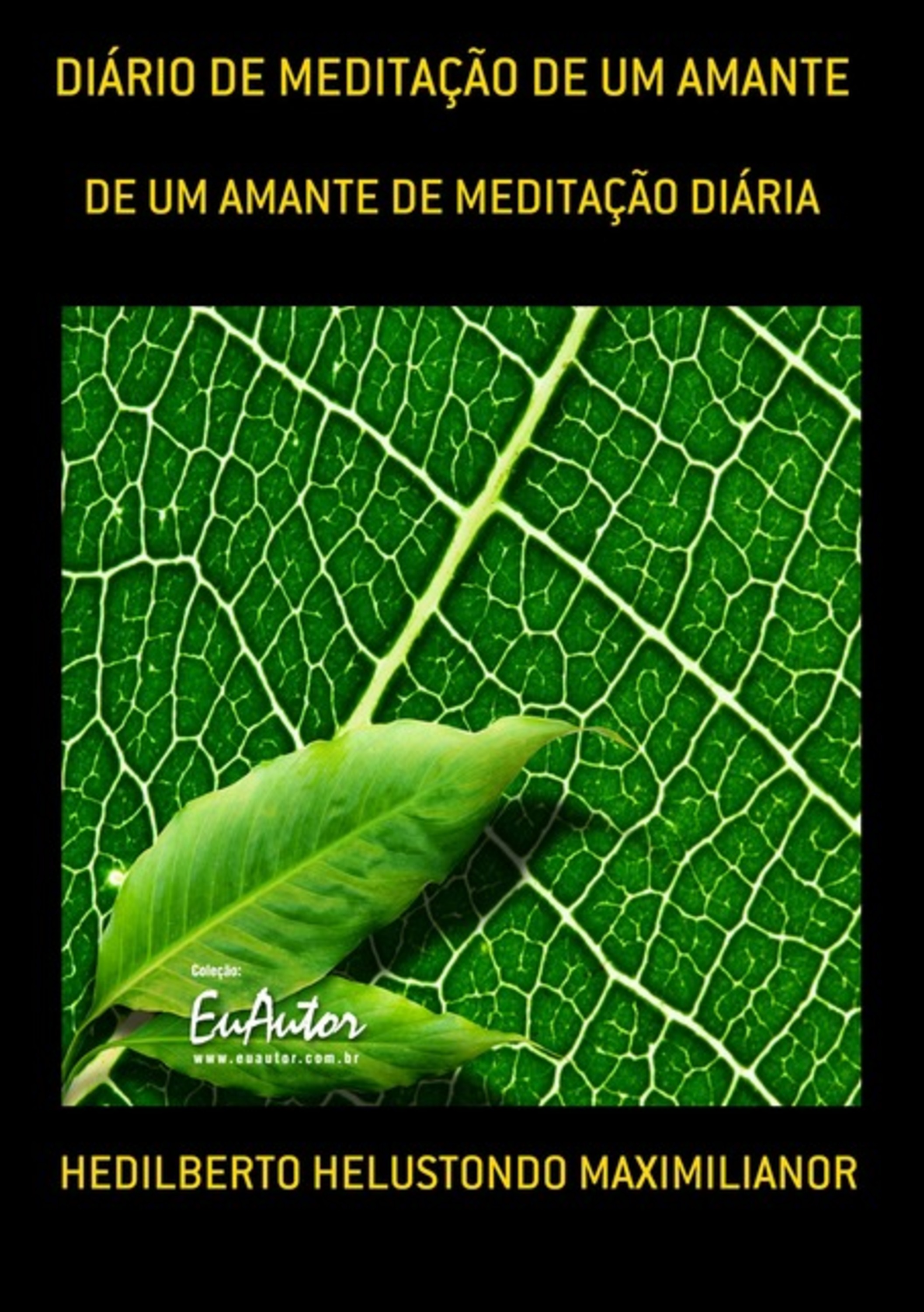 Diário De Meditação De Um Amante