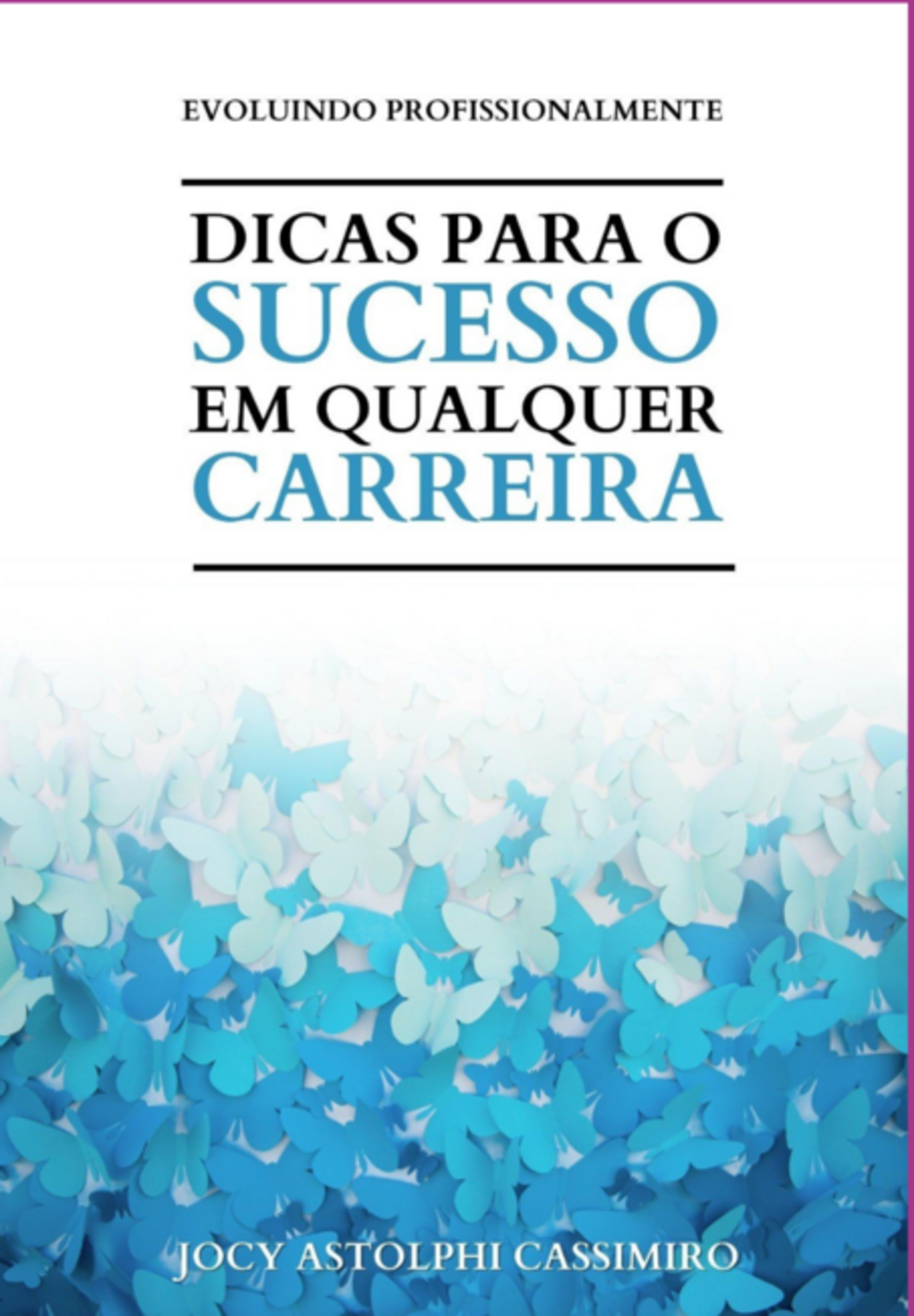 Dicas Para O Sucesso Em Qualquer Carreira