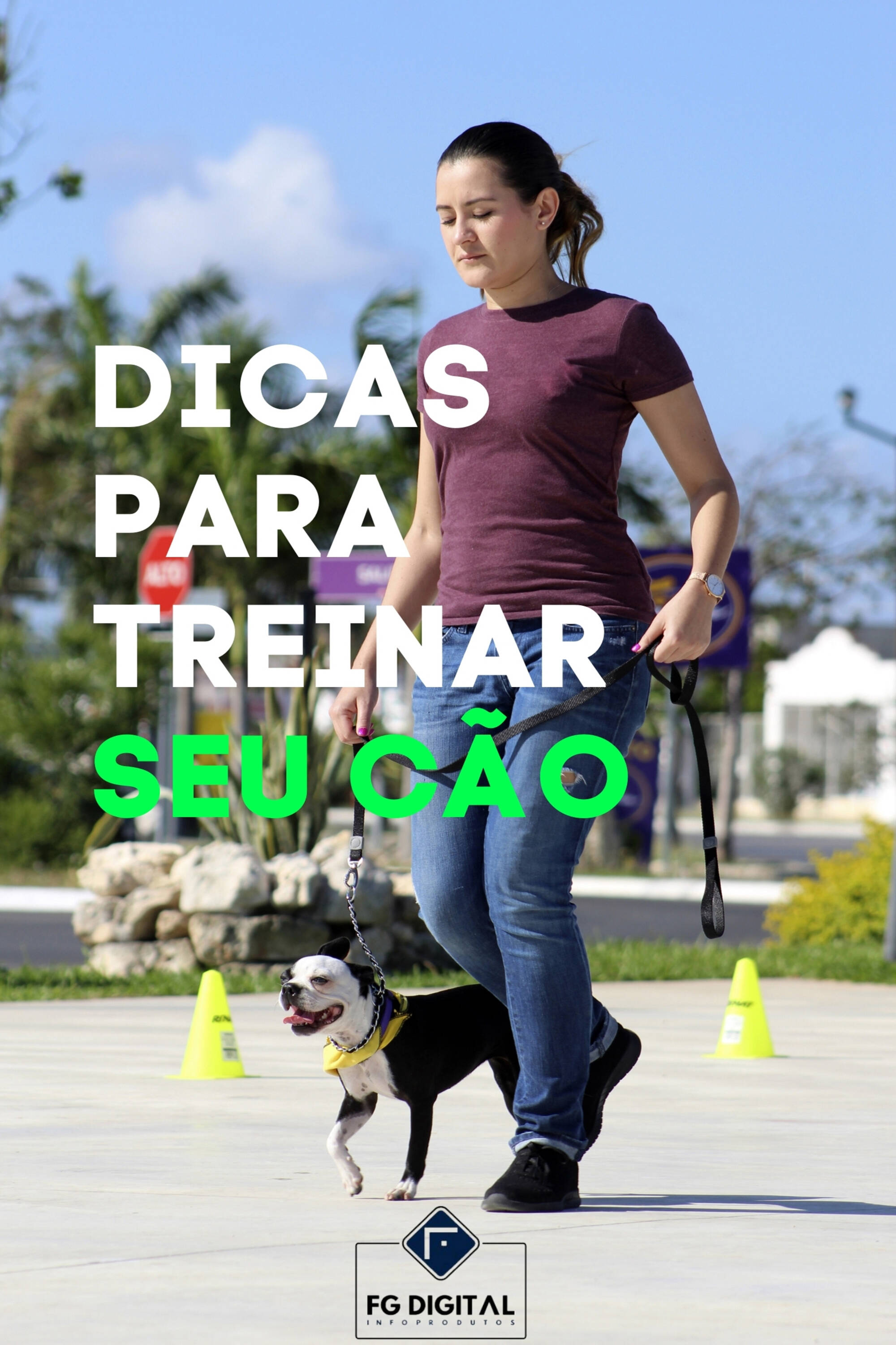 Dicas Para Treinar seu Cão