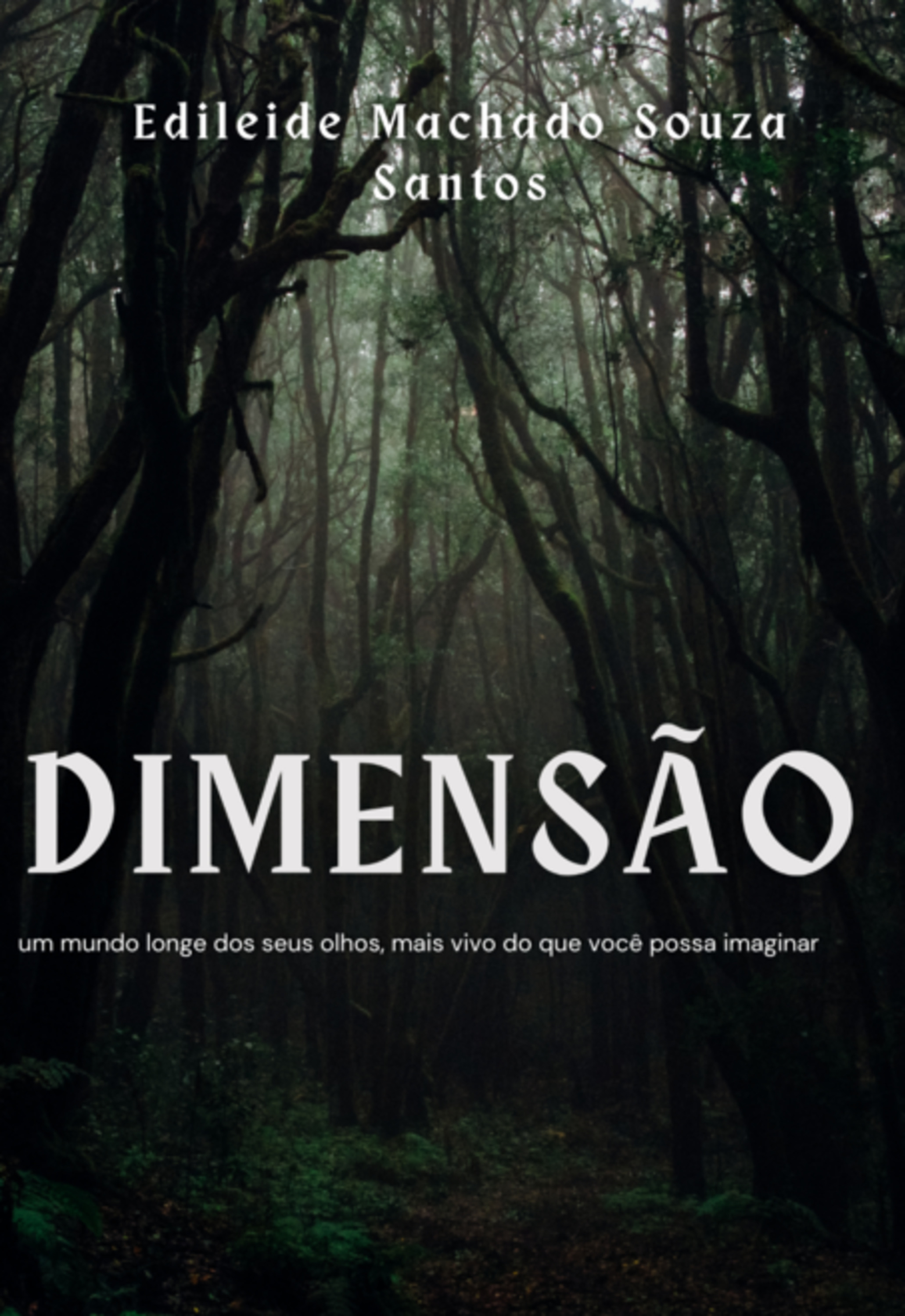 Dimensão