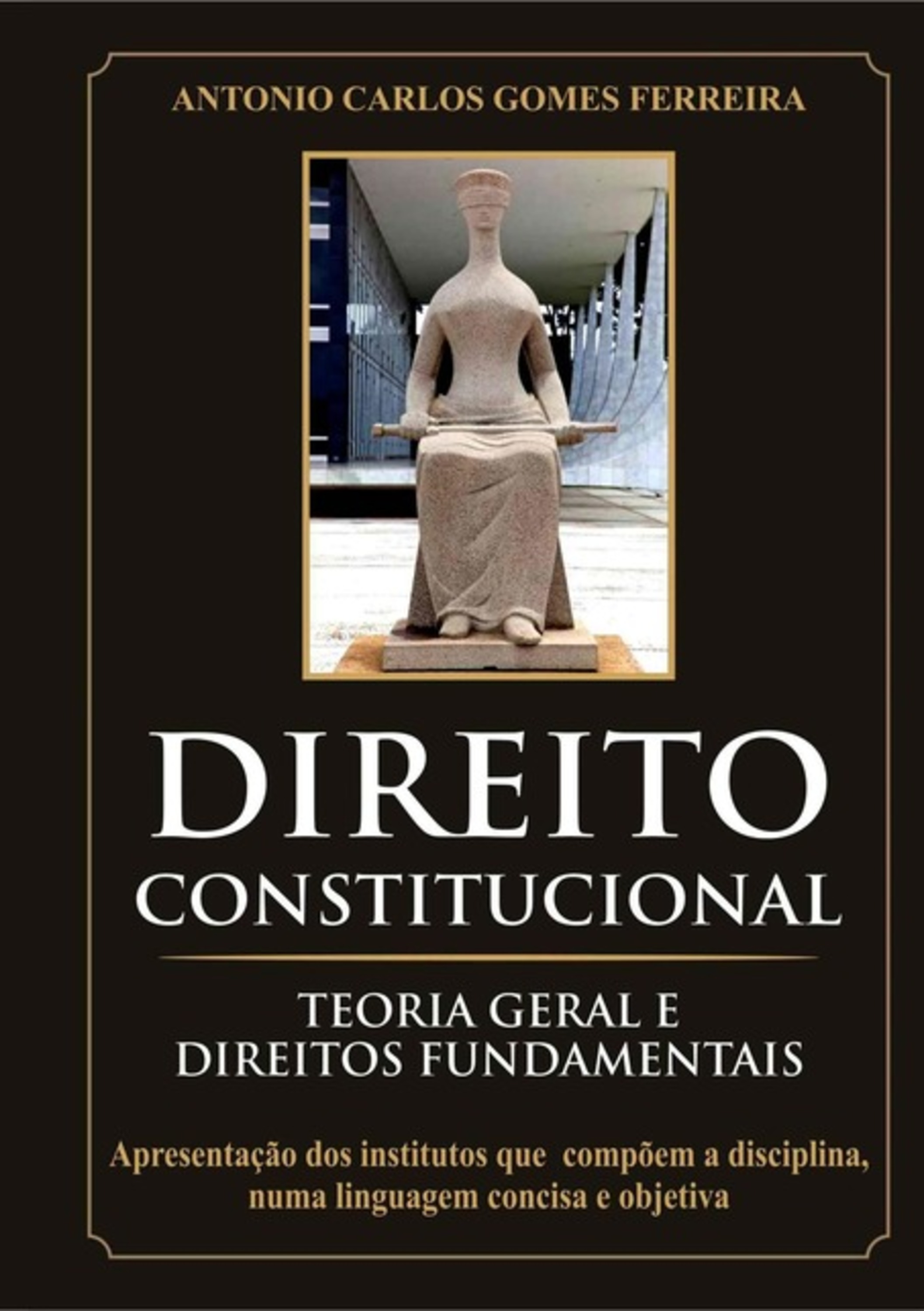 Direito Constitucional