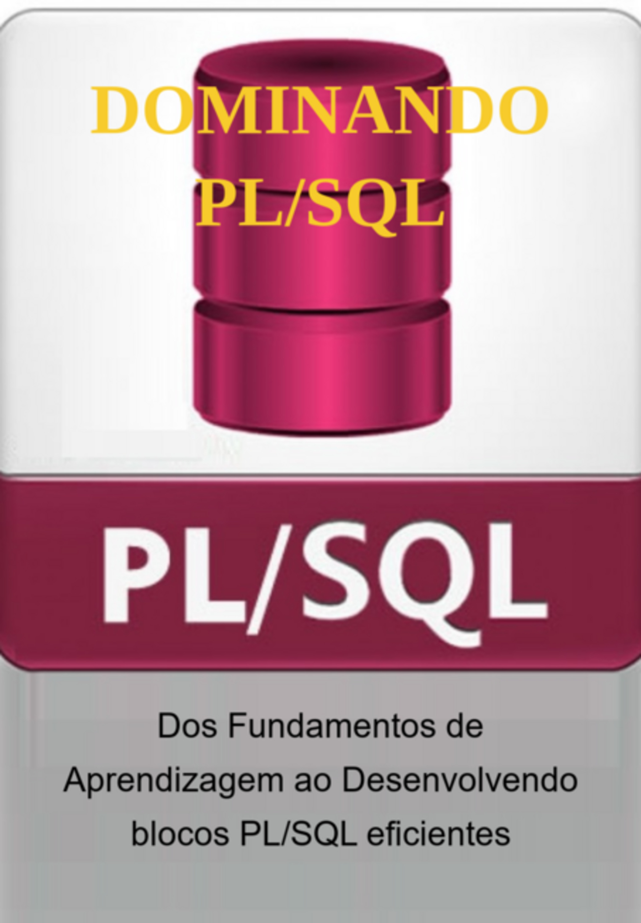 Dominando Pl/sql Por Meio De Ilustrações