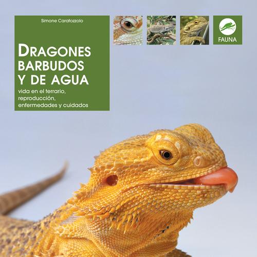 Dragones Barbudos y de Agua