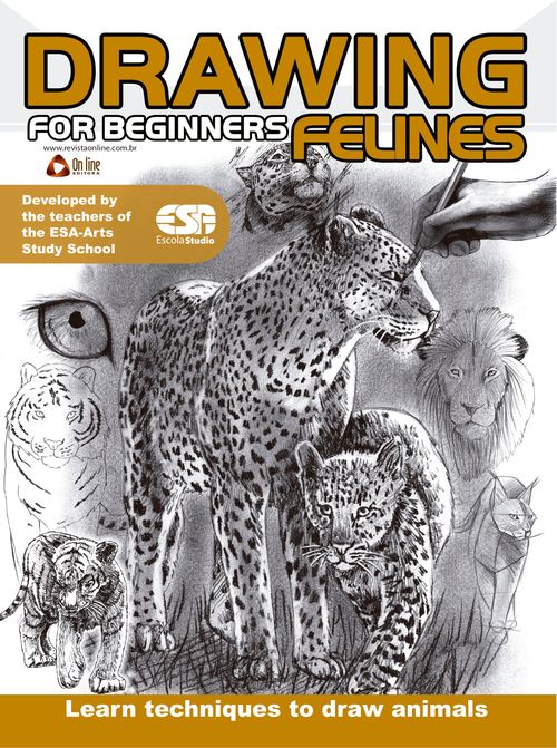 Drawing For Beginners – Felines