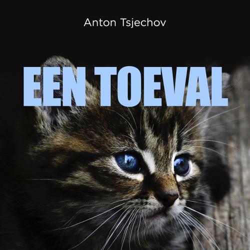 Een toeval