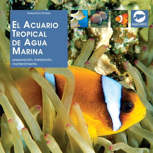 El acuario tropical de agua marina