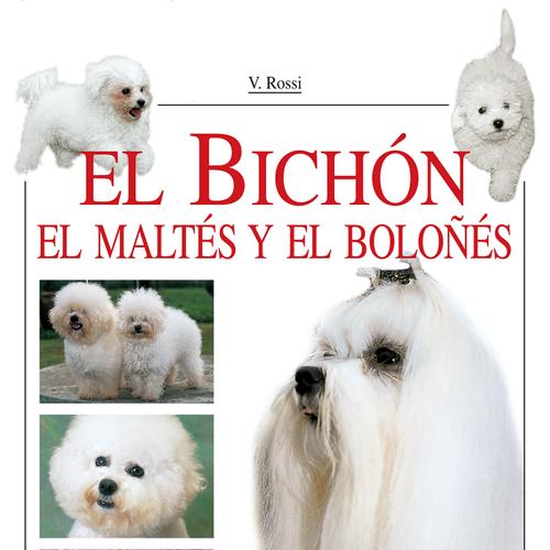 El Bichón