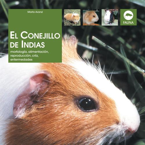 El Conejillo de Indias. Morfología, alimentación, reproducción, prevención y tratamiento de las enfermedades