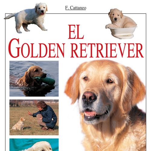 El Golden retriever