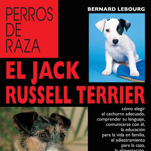 El Jack Russell terrier