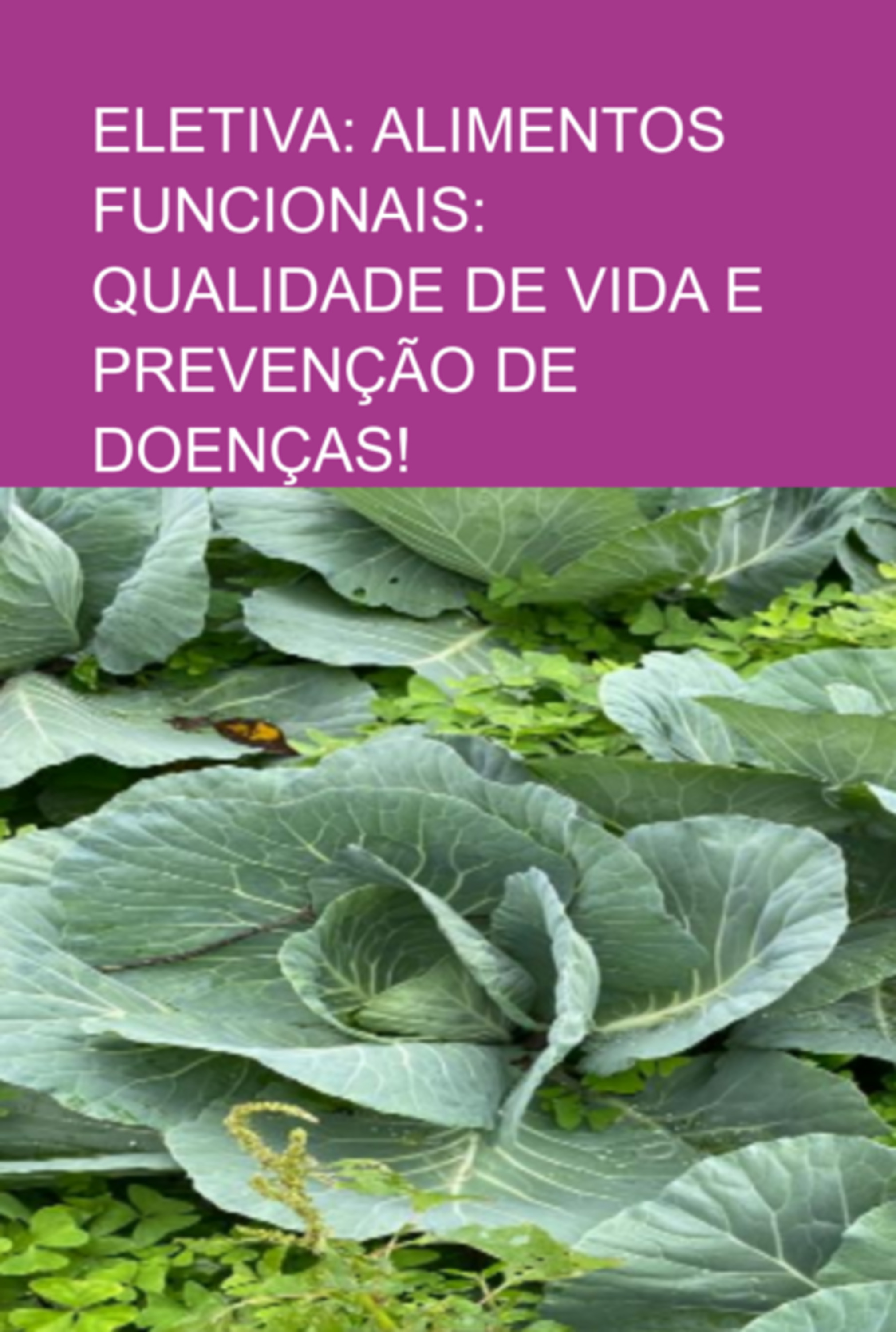 Eletiva: Alimentos Funcionais: Qualidade De Vida E Prevenção De Doenças!