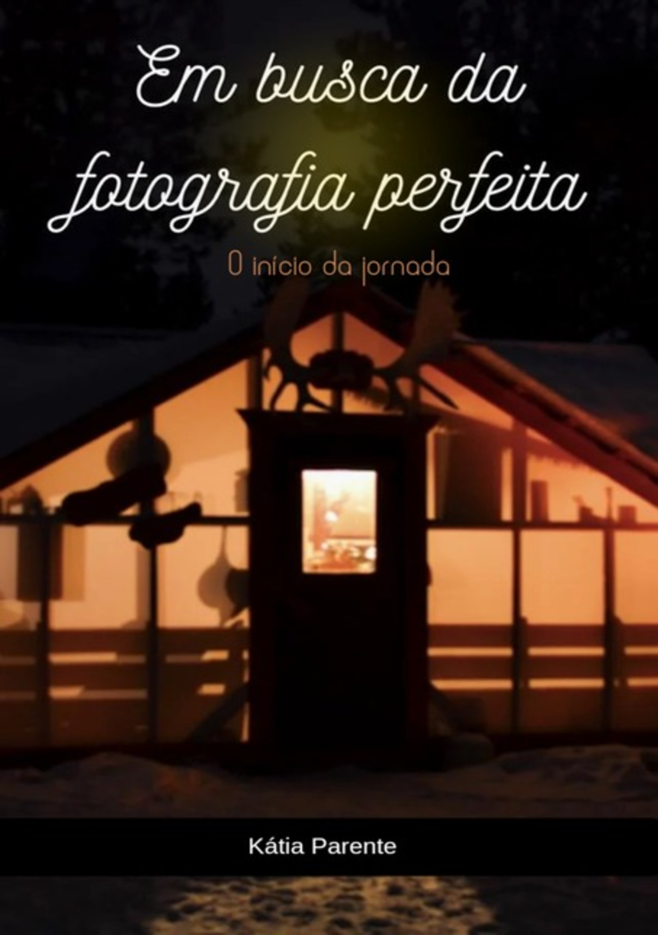 Em Busca Da Fotografia Perfeita