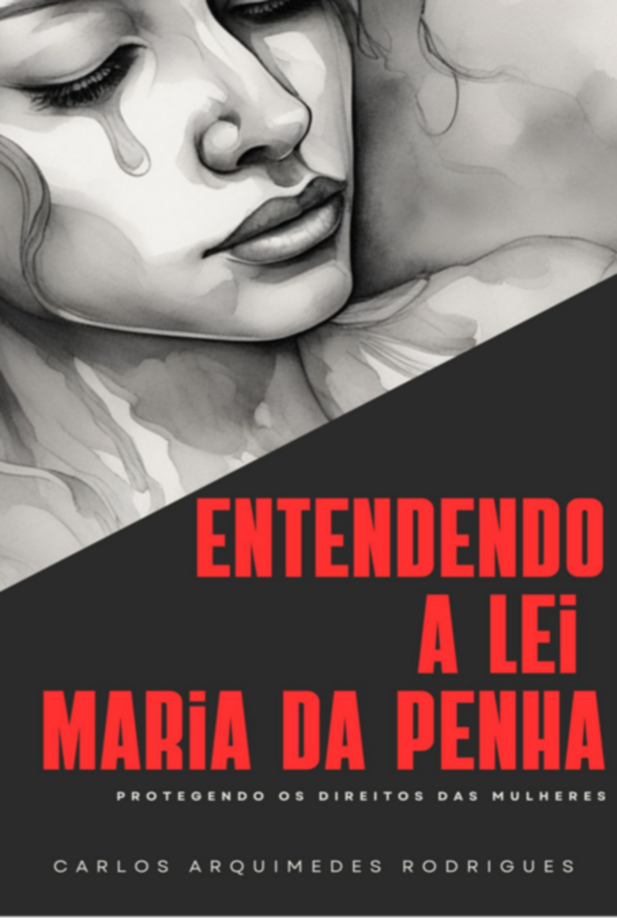 Entendendo A Lei Maria Da Penha