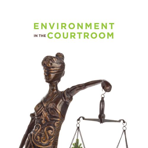 Environment in the Courtroom