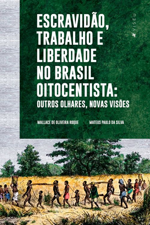 Escravidão, trabalho e liberdade no Brasil Oitocentista