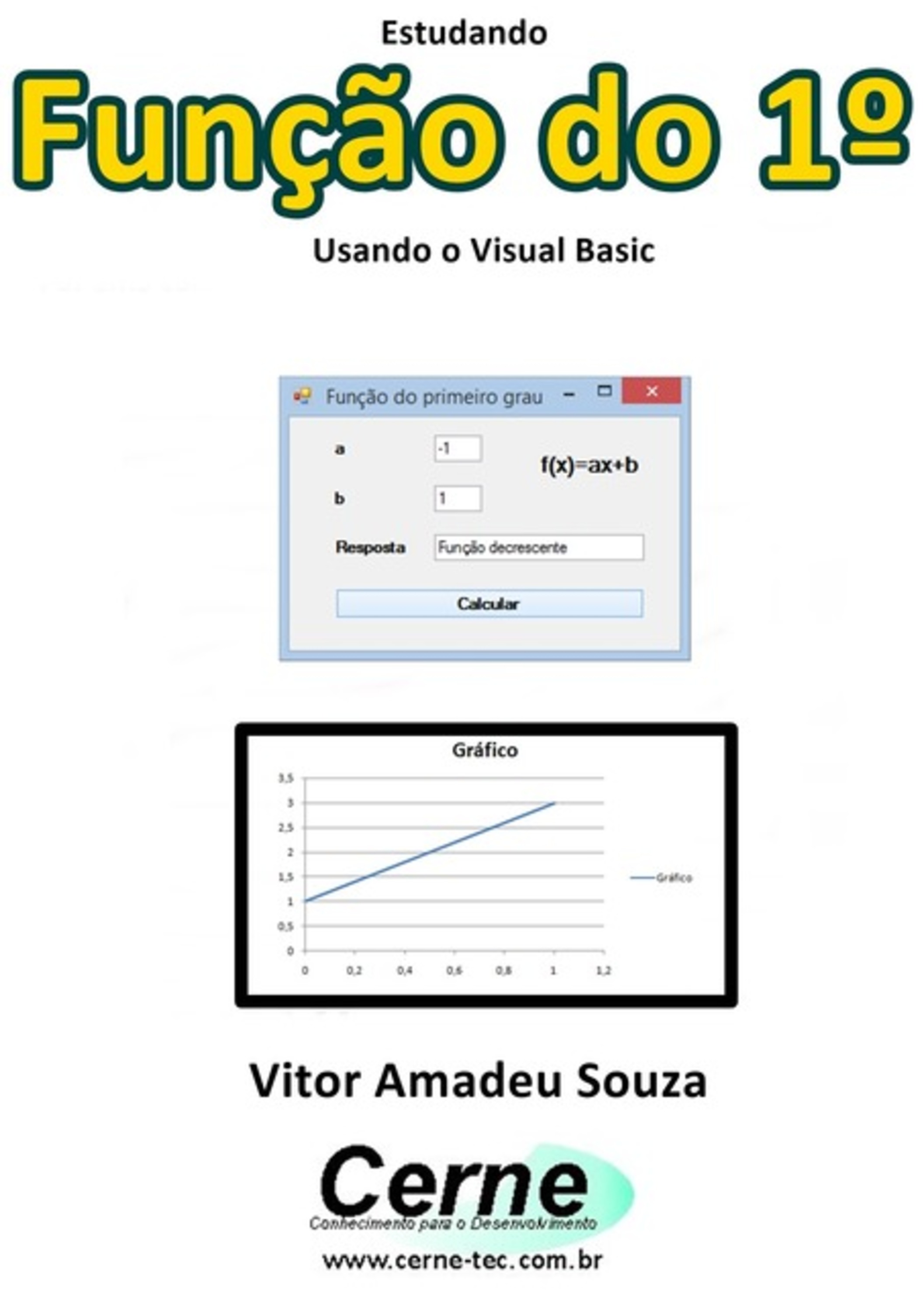 Estudando Função Do 1º Usando O Visual Basic