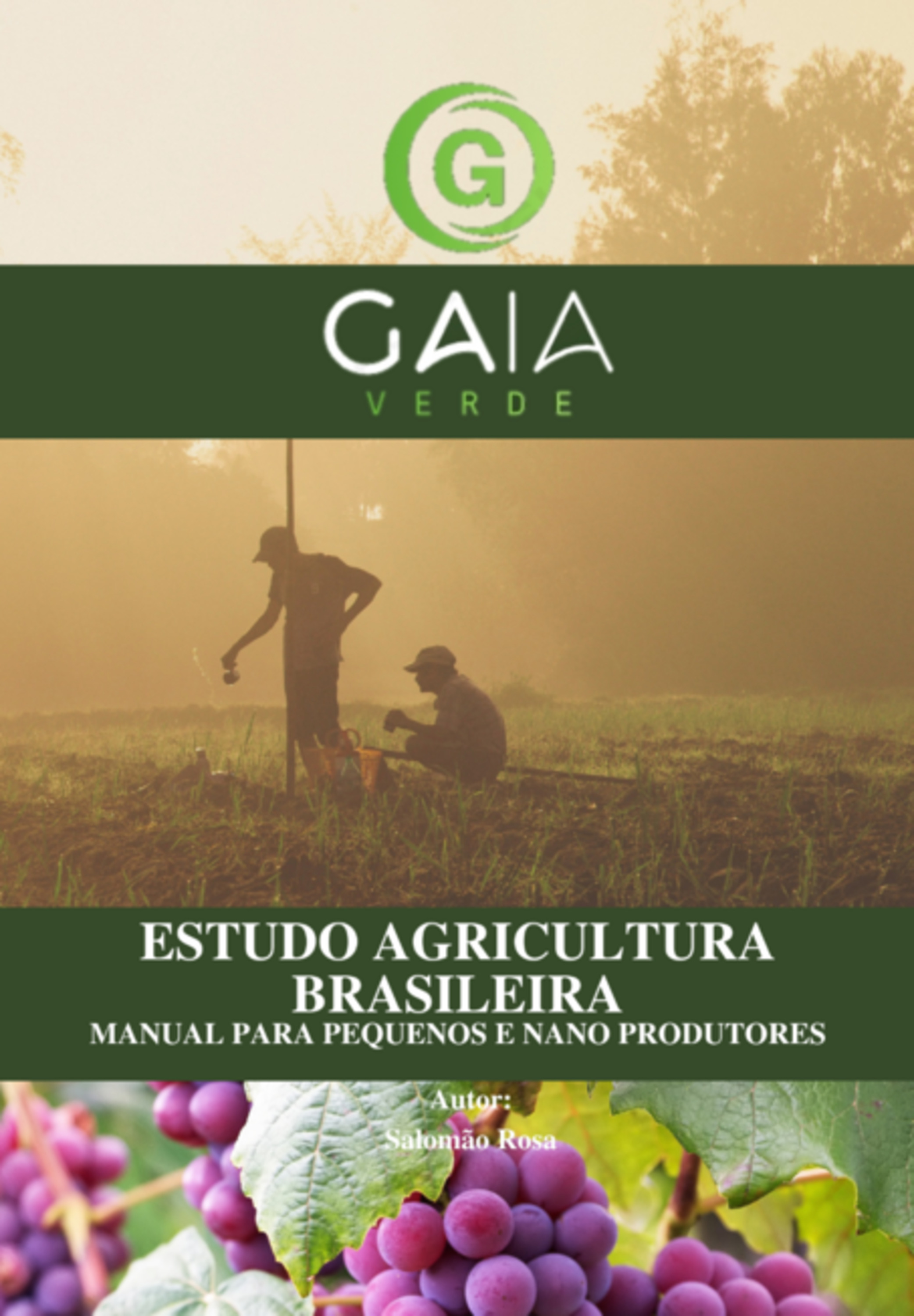 Estudo Agricultura Brasileira