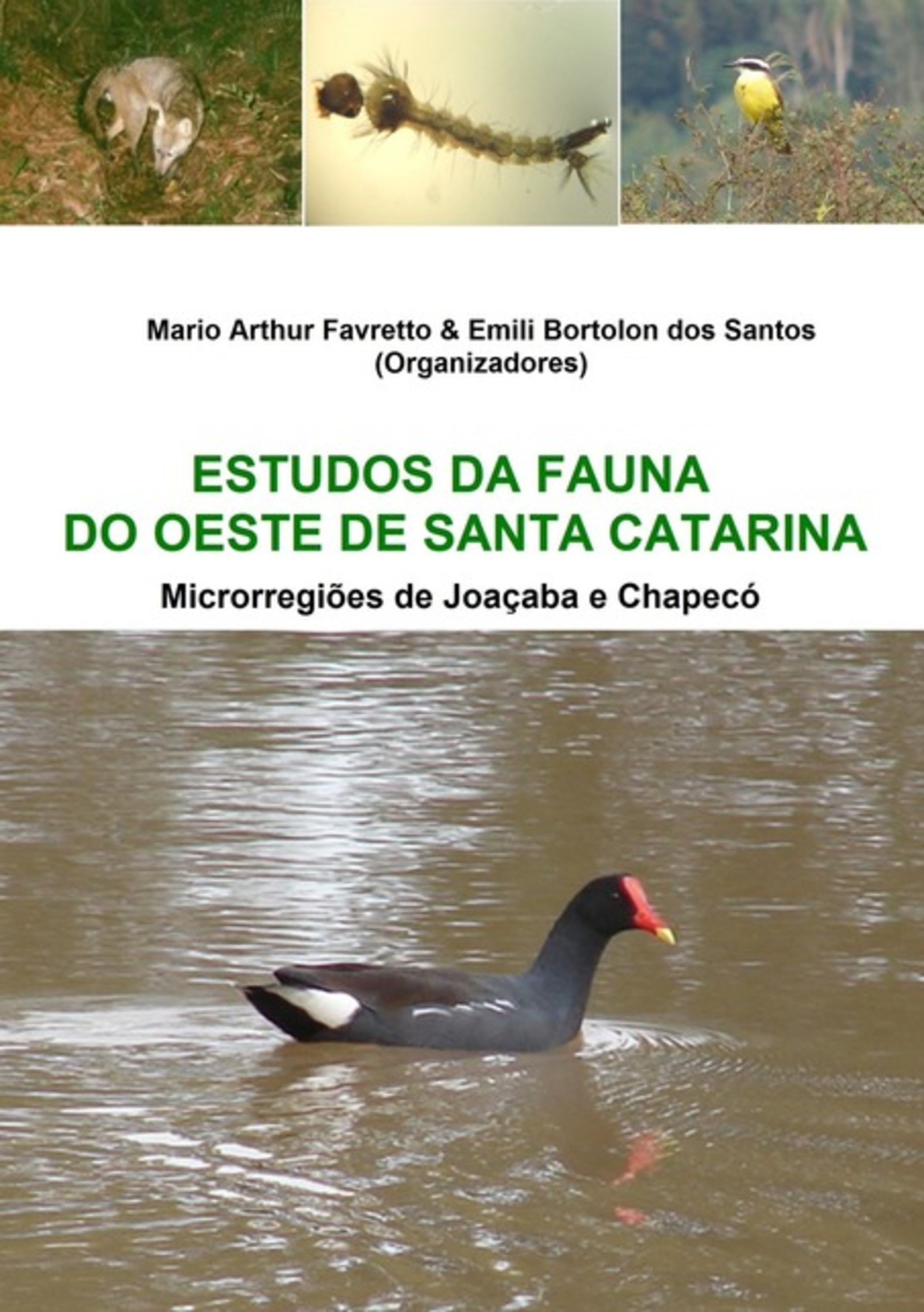 Estudos Da Fauna Do Oeste De Santa Catarina