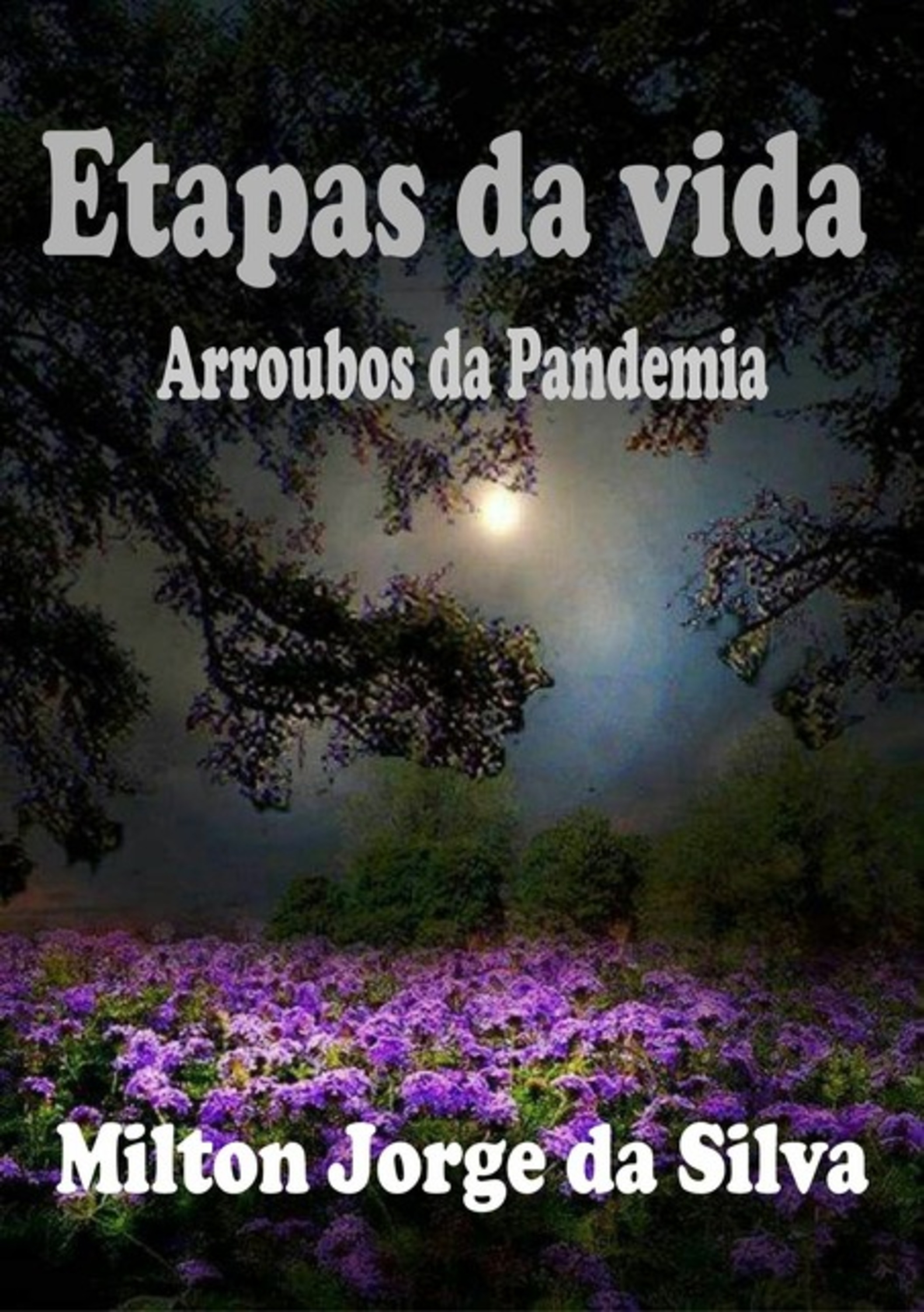 Etapas Da Vida